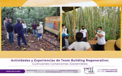 Actividades y Experiencias de Team Building Regenerativo: Cultivando Conexiones Sostenibles
