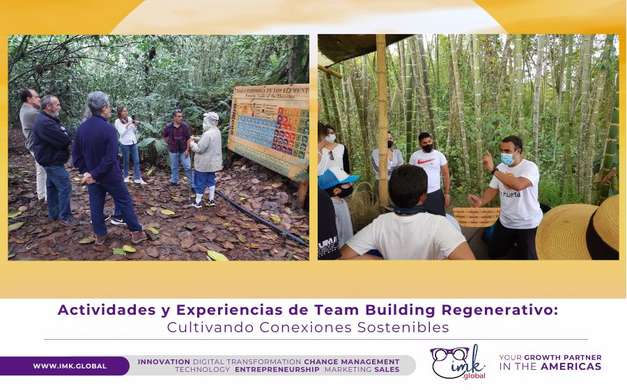 Actividades y Experiencias de Team Building Regenerativo: Cultivando Conexiones Sostenibles