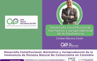 Desarrollo Constitucional, Normativo y Jurisprudencial de la Insolvencia de Persona Natural No Comerciante en Colombia